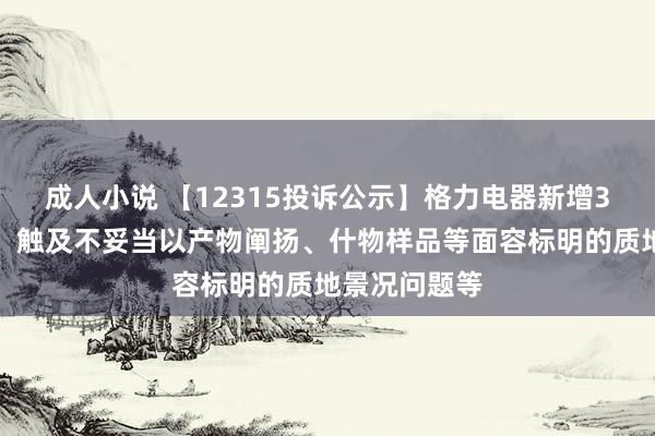 成人小说 【12315投诉公示】格力电器新增3件投诉公示，触及不妥当以产物阐扬、什物样品等面容标明的质地景况问题等