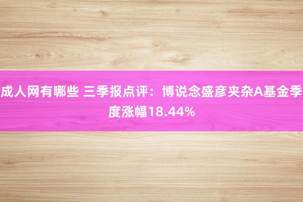 成人网有哪些 三季报点评：博说念盛彦夹杂A基金季度涨幅18.44%