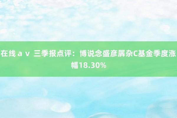 在线ａｖ 三季报点评：博说念盛彦羼杂C基金季度涨幅18.30%