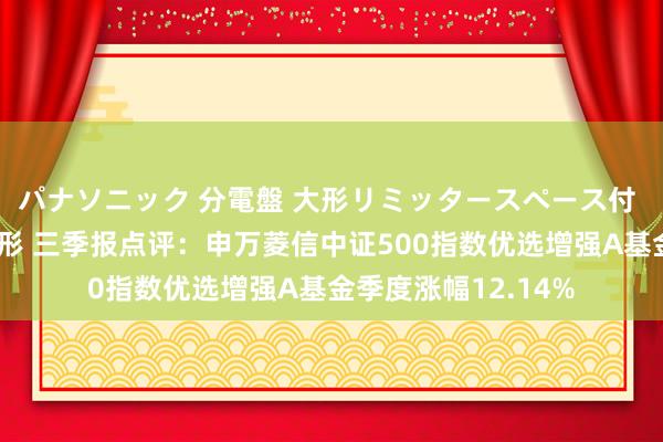 パナソニック 分電盤 大形リミッタースペース付 露出・半埋込両用形 三季报点评：申万菱信中证500指数优选增强A基金季度涨幅12.14%