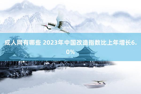 成人网有哪些 2023年中国改造指数比上年增长6.0%