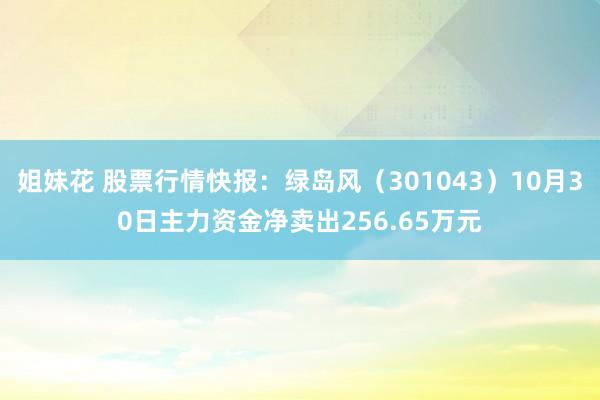 姐妹花 股票行情快报：绿岛风（301043）10月30日主力资金净卖出256.65万元