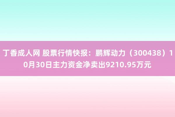 丁香成人网 股票行情快报：鹏辉动力（300438）10月30日主力资金净卖出9210.95万元