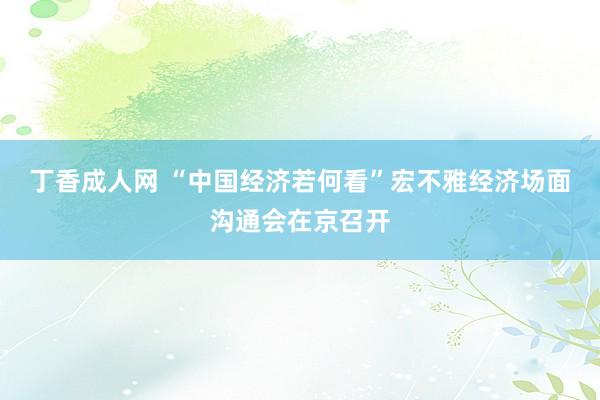 丁香成人网 “中国经济若何看”宏不雅经济场面沟通会在京召开