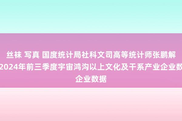 丝袜 写真 国度统计局社科文司高等统计师张鹏解读2024年前三季度宇宙鸿沟以上文化及干系产业企业数据