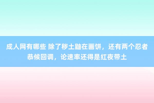 成人网有哪些 除了秽土鼬在画饼，还有两个忍者恭候回调，论速率还得是红夜带土