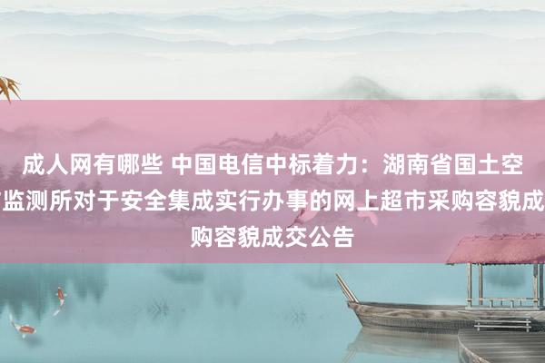 成人网有哪些 中国电信中标着力：湖南省国土空间拜访监测所对于安全集成实行办事的网上超市采购容貌成交公告