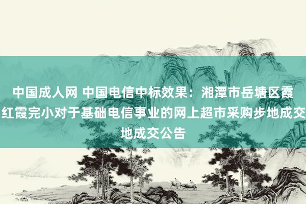 中国成人网 中国电信中标效果：湘潭市岳塘区霞城乡红霞完小对于基础电信事业的网上超市采购步地成交公告