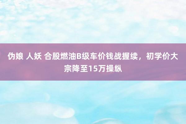 伪娘 人妖 合股燃油B级车价钱战握续，初学价大宗降至15万操纵