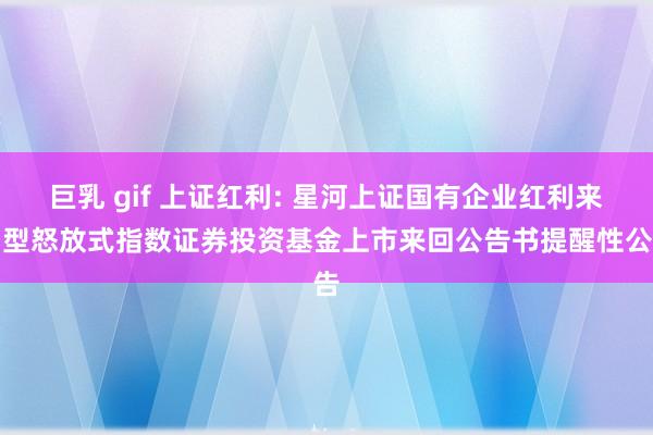 巨乳 gif 上证红利: 星河上证国有企业红利来回型怒放式指数证券投资基金上市来回公告书提醒性公告