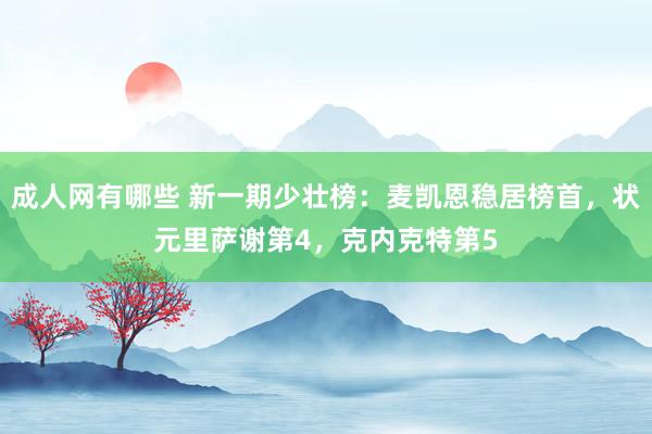 成人网有哪些 新一期少壮榜：麦凯恩稳居榜首，状元里萨谢第4，克内克特第5