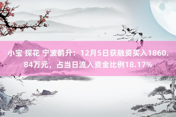 小宝 探花 宁波韵升：12月5日获融资买入1860.84万元，占当日流入资金比例18.17%