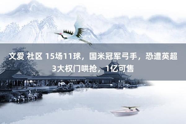 文爱 社区 15场11球，国米冠军弓手，恐遭英超3大权门哄抢，1亿可售