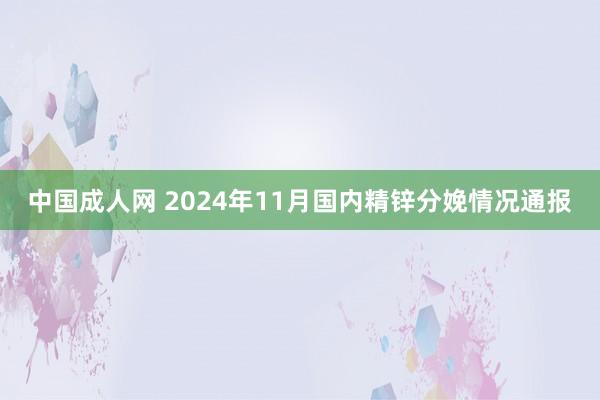 中国成人网 2024年11月国内精锌分娩情况通报