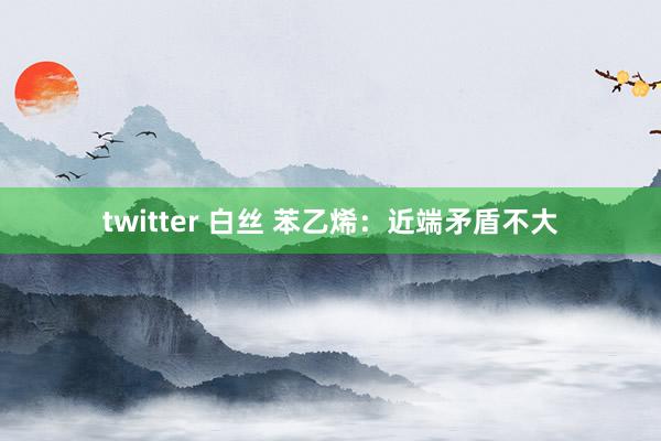 twitter 白丝 苯乙烯：近端矛盾不大