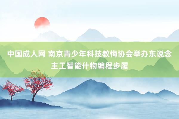 中国成人网 南京青少年科技教悔协会举办东说念主工智能什物编程步履