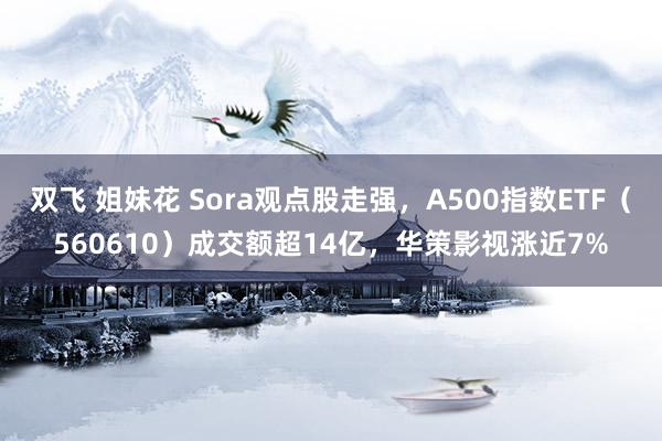 双飞 姐妹花 Sora观点股走强，A500指数ETF（560610）成交额超14亿，华策影视涨近7%