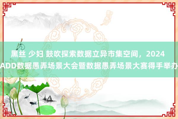 黑丝 少妇 鼓吹探索数据立异市集空间，2024 ADD数据愚弄场景大会暨数据愚弄场景大赛得手举办