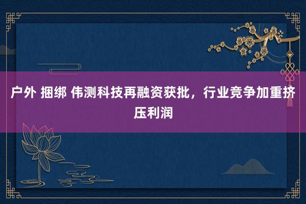 户外 捆绑 伟测科技再融资获批，行业竞争加重挤压利润