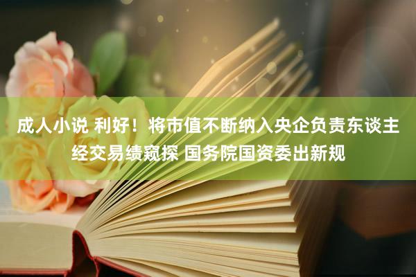 成人小说 利好！将市值不断纳入央企负责东谈主经交易绩窥探 国务院国资委出新规