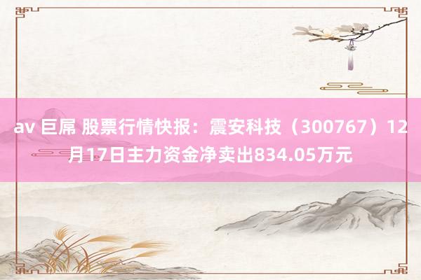 av 巨屌 股票行情快报：震安科技（300767）12月17日主力资金净卖出834.05万元