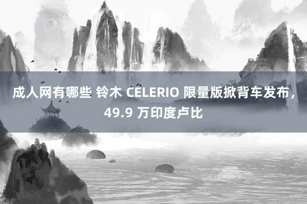 成人网有哪些 铃木 CELERIO 限量版掀背车发布，49.9 万印度卢比