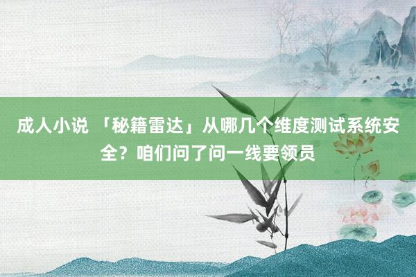 成人小说 「秘籍雷达」从哪几个维度测试系统安全？咱们问了问一线要领员