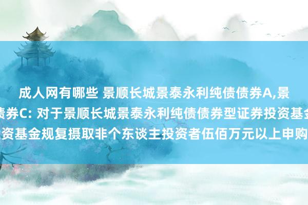 成人网有哪些 景顺长城景泰永利纯债债券A，景顺长城景泰永利纯债债券C: 对于景顺长城景泰永利纯债债券型证券投资基金规复摄取非个东谈主投资者伍佰万元以上申购及调度转入业务的公告