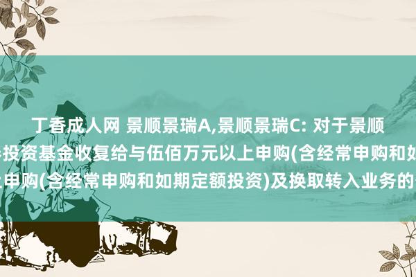 丁香成人网 景顺景瑞A，景顺景瑞C: 对于景顺长城景瑞收益债券型证券投资基金收复给与伍佰万元以上申购(含经常申购和如期定额投资)及换取转入业务的公告