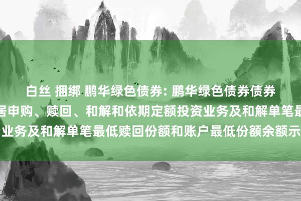 白丝 捆绑 鹏华绿色债券: 鹏华绿色债券债券型证券投资基金绽放闲居申购、赎回、和解和依期定额投资业务及和解单笔最低赎回份额和账户最低份额余额示寂的公告