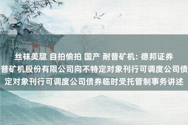 丝袜美腿 自拍偷拍 国产 耐普矿机: 德邦证券股份有限公司对于江西耐普矿机股份有限公司向不特定对象刊行可调度公司债券临时受托管制事务讲述