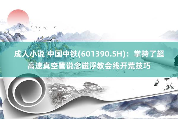 成人小说 中国中铁(601390.SH)：掌持了超高速真空管说念磁浮教会线开荒技巧