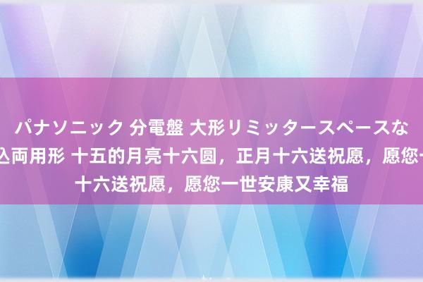 パナソニック 分電盤 大形リミッタースペースなし 露出・半埋込両用形 十五的月亮十六圆，正月十六送祝愿，愿您一世安康又幸福