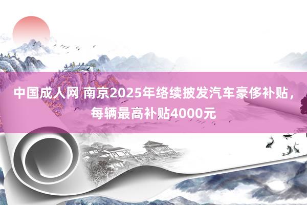 中国成人网 南京2025年络续披发汽车豪侈补贴，每辆最高补贴4000元