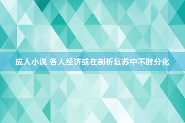 成人小说 各人经济或在剖析复苏中不时分化