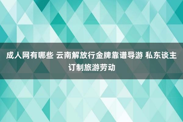 成人网有哪些 云南解放行金牌靠谱导游 私东谈主订制旅游劳动