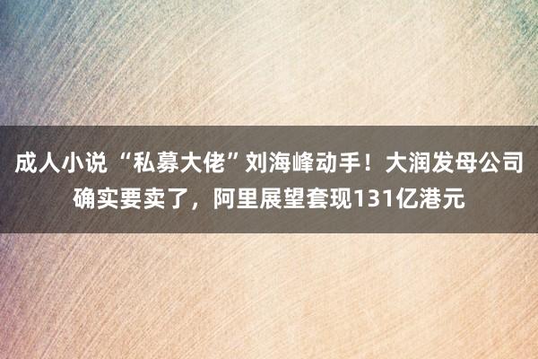 成人小说 “私募大佬”刘海峰动手！大润发母公司确实要卖了，阿里展望套现131亿港元