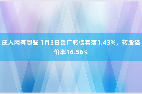 成人网有哪些 1月3日贵广转债着落1.43%，转股溢价率16.56%