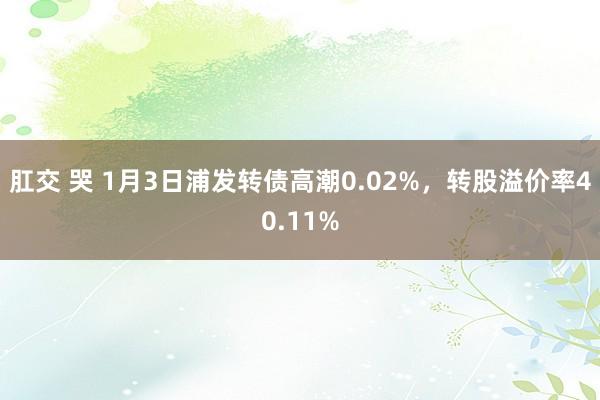 肛交 哭 1月3日浦发转债高潮0.02%，转股溢价率40.11%