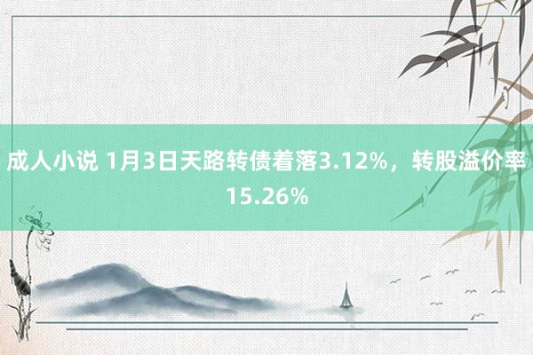 成人小说 1月3日天路转债着落3.12%，转股溢价率15.26%