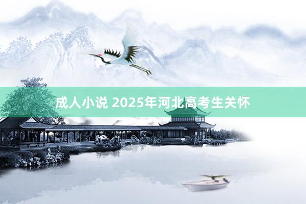 成人小说 2025年河北高考生关怀