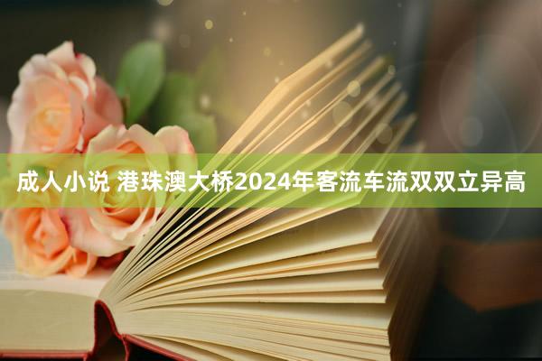 成人小说 港珠澳大桥2024年客流车流双双立异高