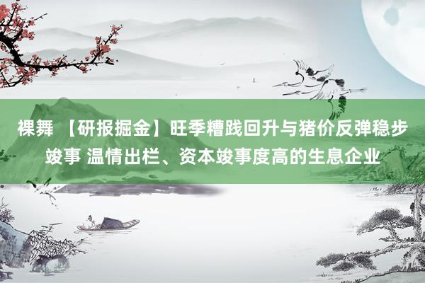 裸舞 【研报掘金】旺季糟践回升与猪价反弹稳步竣事 温情出栏、资本竣事度高的生息企业