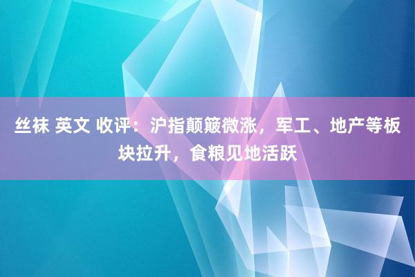 丝袜 英文 收评：沪指颠簸微涨，军工、地产等板块拉升，食粮见地活跃