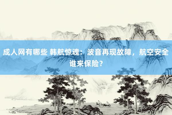 成人网有哪些 韩航惊魂：波音再现故障，航空安全谁来保险？