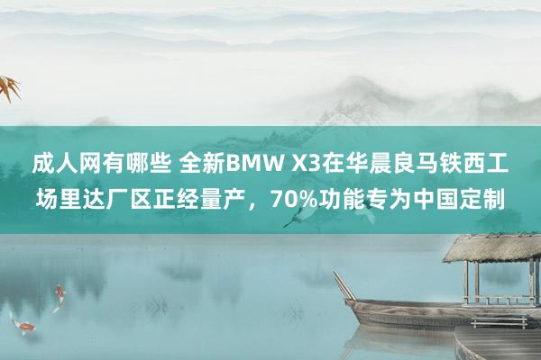 成人网有哪些 全新BMW X3在华晨良马铁西工场里达厂区正经量产，70%功能专为中国定制