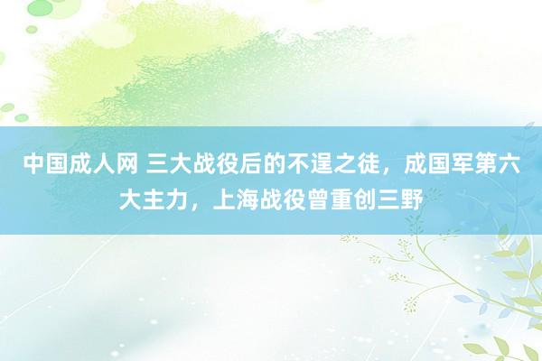 中国成人网 三大战役后的不逞之徒，成国军第六大主力，上海战役曾重创三野