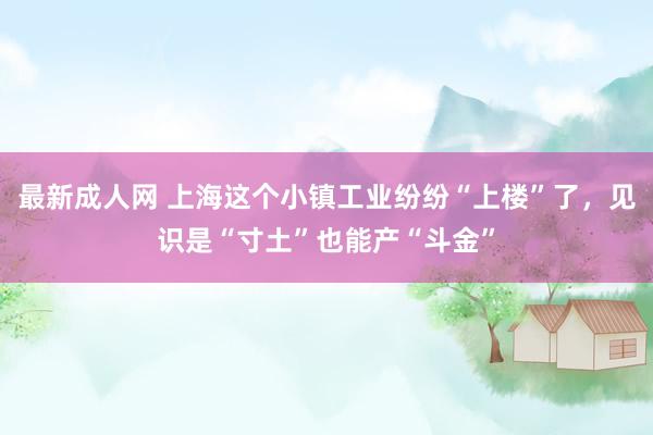 最新成人网 上海这个小镇工业纷纷“上楼”了，见识是“寸土”也能产“斗金”