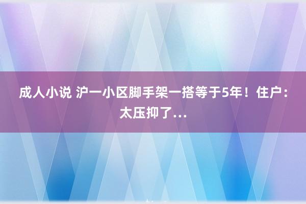 成人小说 沪一小区脚手架一搭等于5年！住户：太压抑了…