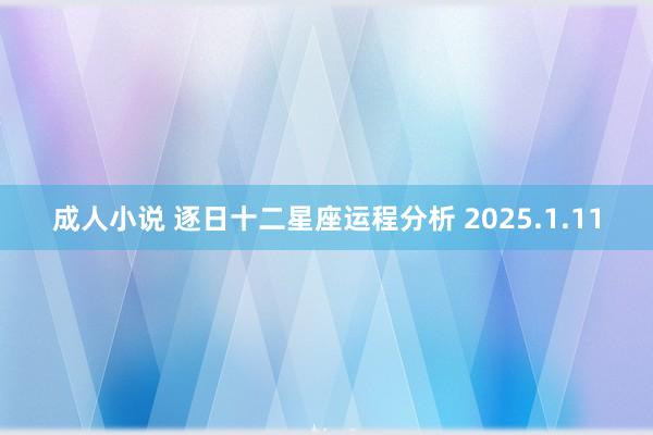 成人小说 逐日十二星座运程分析 2025.1.11